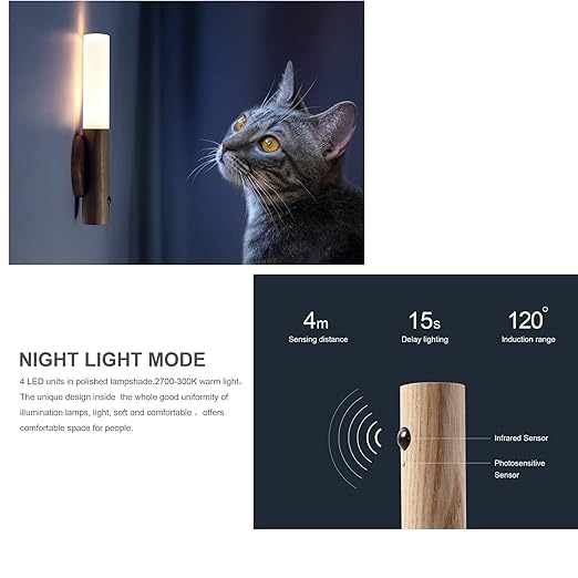 Aeonrix Glass & Wood Motion Sensor LED Night Light