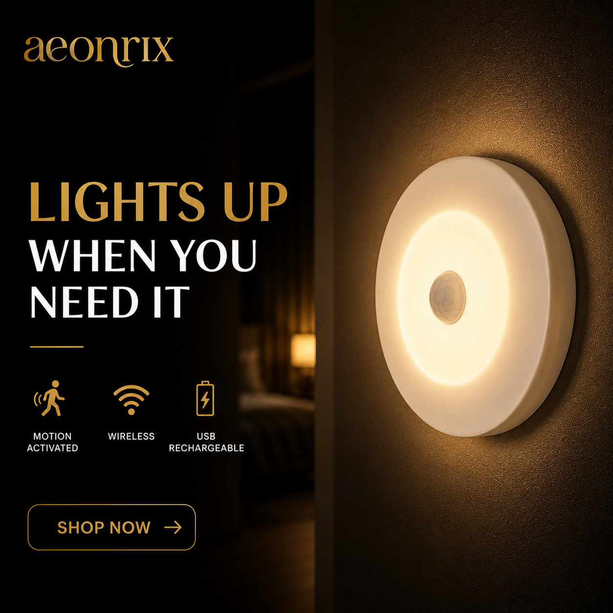 Motion Sensor LED Light